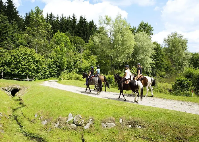 Hotel Aldiana Club Ampflwang 4*